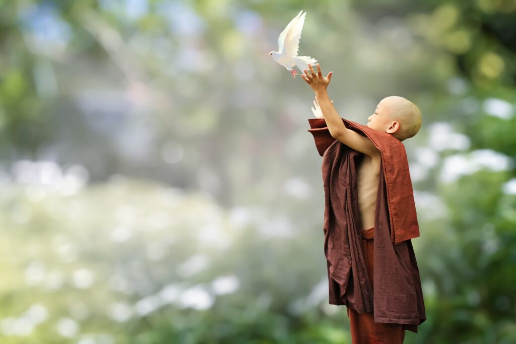buddhist, monk, novice-5843719.jpg